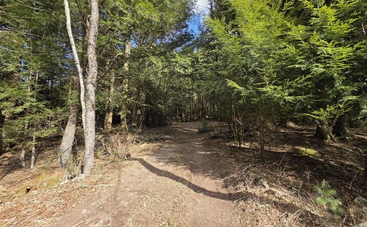 Pictures of Land, Special Purpose, Multifamily property located at Tbd Eagle Avenue, Mongaup Valley, NY 12762 for sales - image #1