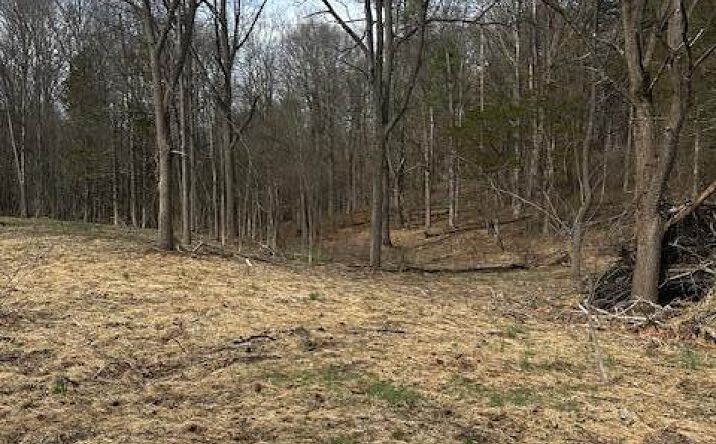 Pictures of Land property located at Lot 3 High Falls Road, Catskill, NY 12414 for sales - image #1