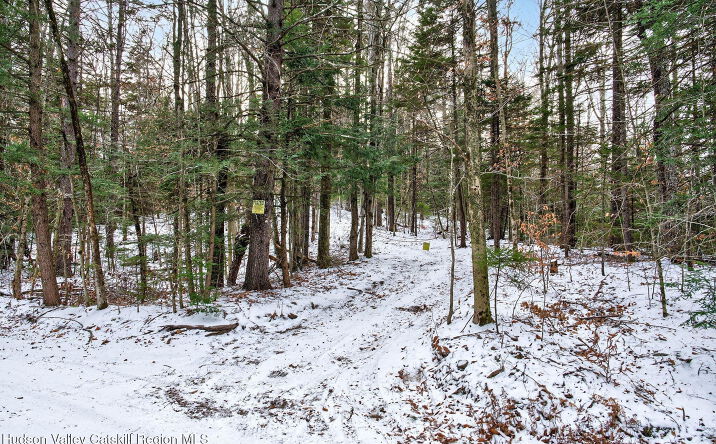 Pictures of Land, Special Purpose property located at Tbd Roaring Kill Road, Elka Park, NY 12427 for sales - image #1