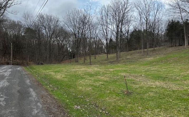 Pictures of Land property located at Tbd High Falls Road Road, Catskill, NY 12414 for sales - image #1