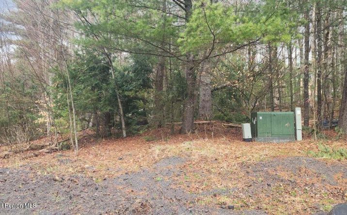 Pictures of Land property located at 112 Deer Valley Road, Jewett, NY 12444 for sales - image #1