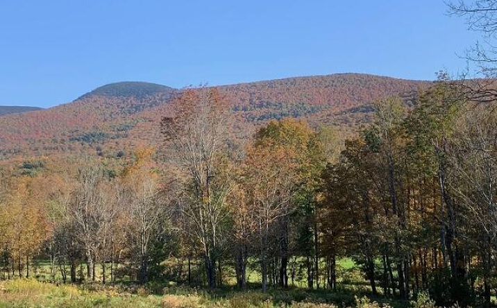 Pictures of Land property located at Peck Road, Windham, NY 12496 for sales - image #1