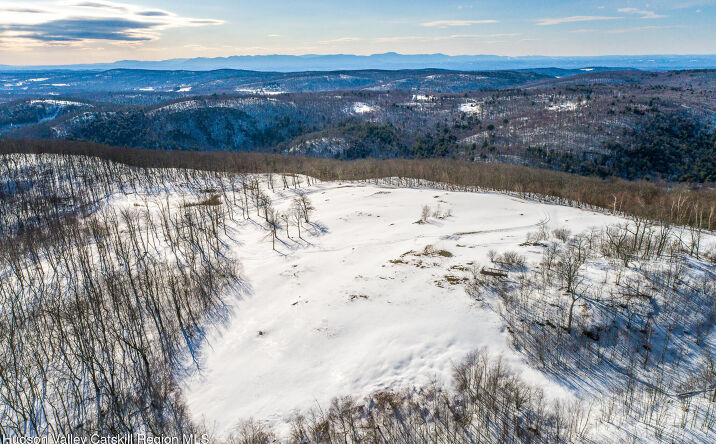 Pictures of Land property located at 890 Bald Mountain Road, Austerlitz, NY 12017 for sales - image #1