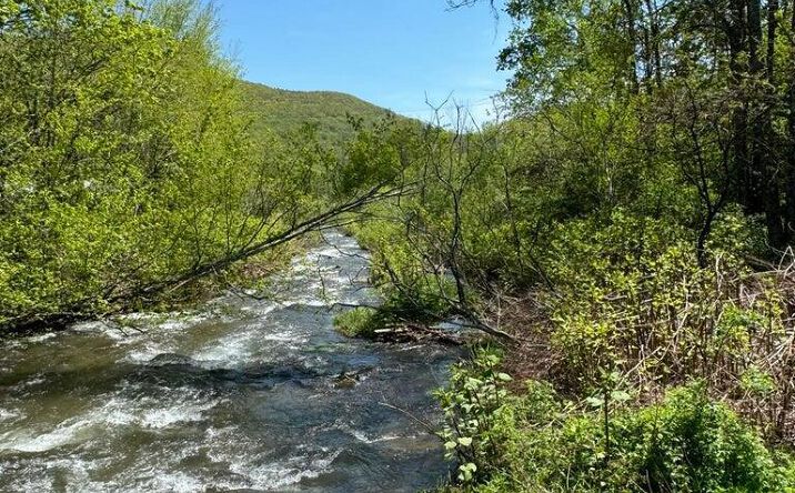 Pictures of Land, Special Purpose, Multifamily property located at Tbd New York 28, Big Indian, NY 12410 for sales - image #1