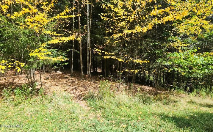 Pictures of Land property located at 128 Brittany Hill Road, Jewett, NY 12444 for sales - image #1