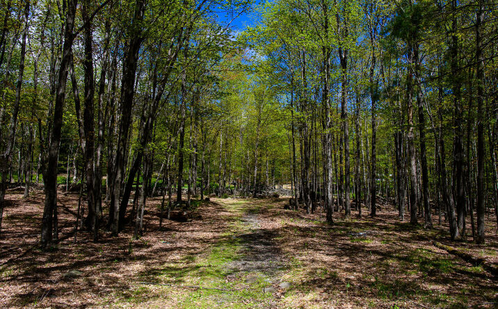 Pictures of Land property located at Upper Samsonville Road, Olivebridge, NY 12461 for sales - image #1