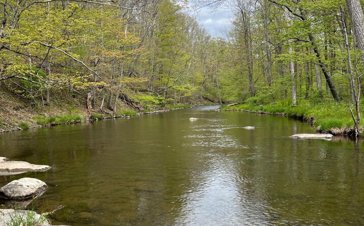 Pictures of Land, Multifamily property located at Rudolph Weir Jr Road, Earlton, NY 12058 for sales - image #1