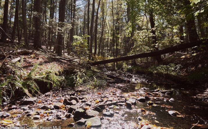 Pictures of Land property located at Off Potter Hill Road, Ulster, NY 12401 for sales - image #1