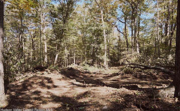 Pictures of Land property located at Lot 5 Flatbush Avenue, Kingston, NY 12401 for sales - image #1
