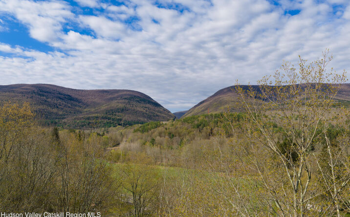 Pictures of Land, Special Purpose property located at 2726 New York 42, Lexington, NY 12452 for sales - image #1