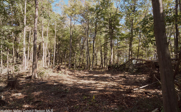 Pictures of Land property located at Off Flatbush Avenue, Kingston, NY 12401 for sales - image #1