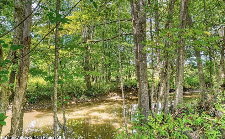 Pictures of Land property located at Tbd Pompeys Cave Road, Accord, NY 12404 for sales - image #1
