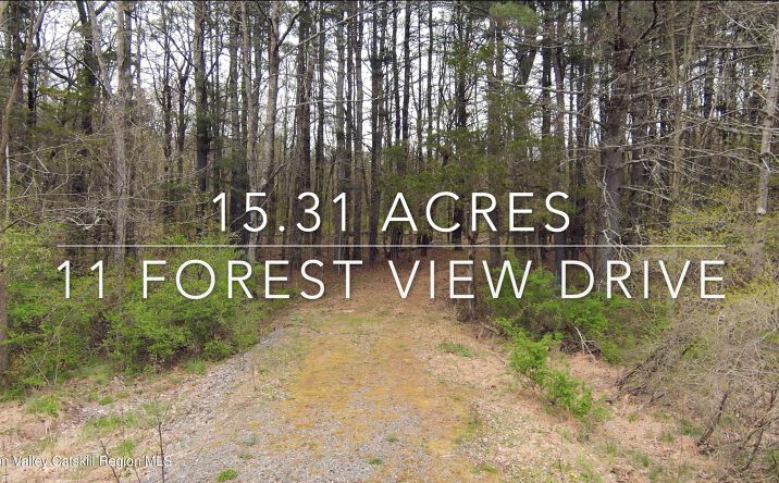 Pictures of Land, Multifamily property located at 11 Forest View Drive, Catskill, NY 12414 for sales - image #1