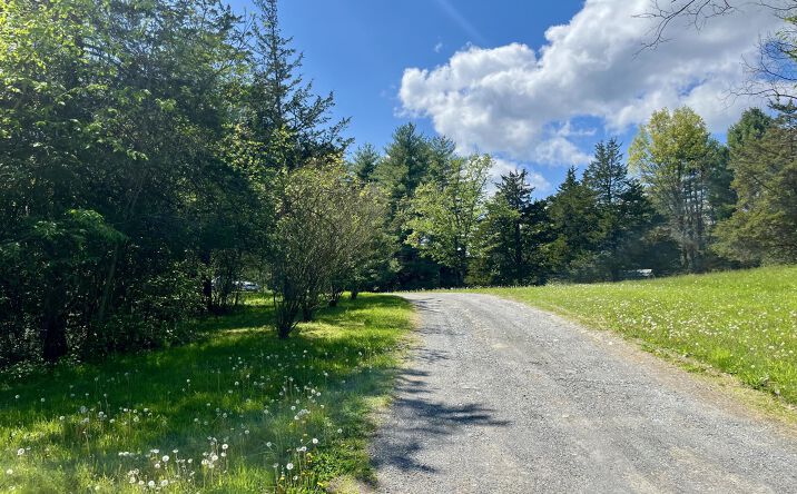 Pictures of Land property located at Tbd Abby Lane, Tivoli, NY 12583 for sales - image #1
