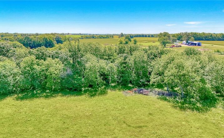 Pictures of Land property located at Tract 4 TBD SW State Hwy T Highway, Holden, MO 64040 for sales - image #1