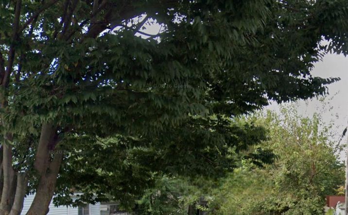 Pictures of Land property located at 526 Logan Street, New York, NY 11208 for sales - image #1