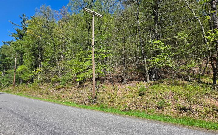 Pictures of Land, Special Purpose property located at Hamilton Road, Thompson, NY 12701 for sales - image #1