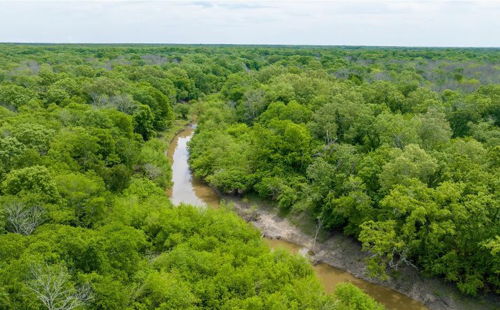 Pictures of Land property located at 00 CR 4630, Annona, TX 75550 for sales - image #1