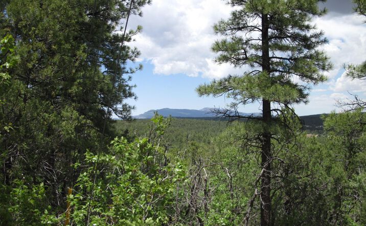 Pictures of Land property located at 20 Estrella Vista Drive, Tijeras, NM 87059 for sales - image #1