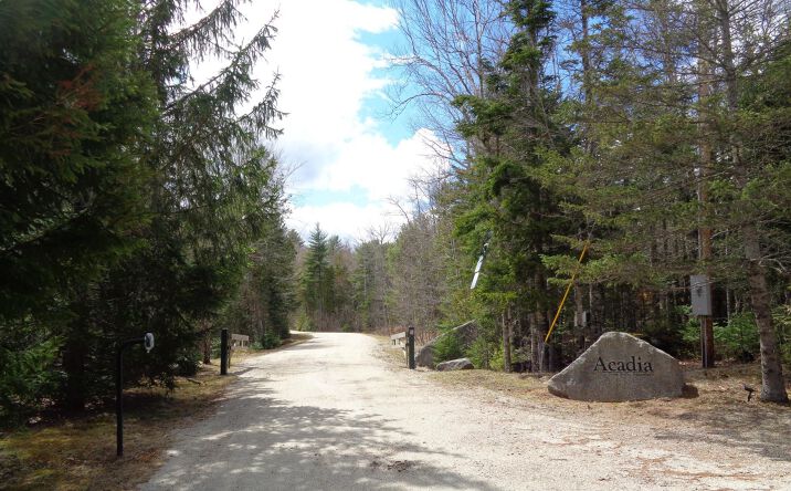 Pictures of Land property located at Lot20-20 Bailey Mountain Road, Franklin, ME 04634 for sales - image #1