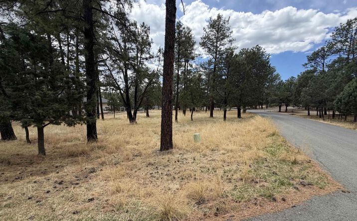 Pictures of Land property located at 101 Mira Monte Crossroad, Alto, NM 88312 for sales - image #1