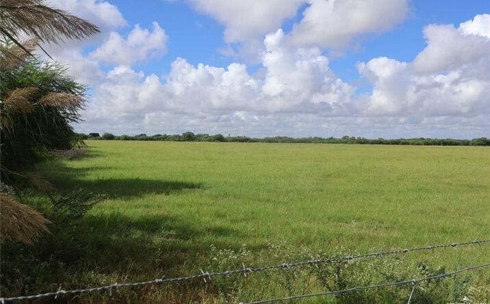 Pictures of Land property located at CR 2800, La Sara, TX 78580 for sales - image #1