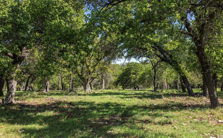 Pictures of Land property located at 257 Dally Road, Fredericksburg, TX 78624, 237 Dally Road, Fredericksburg, TX 78624, 283 Dally Road, Fredericksburg, TX 78624 for sales - image #1