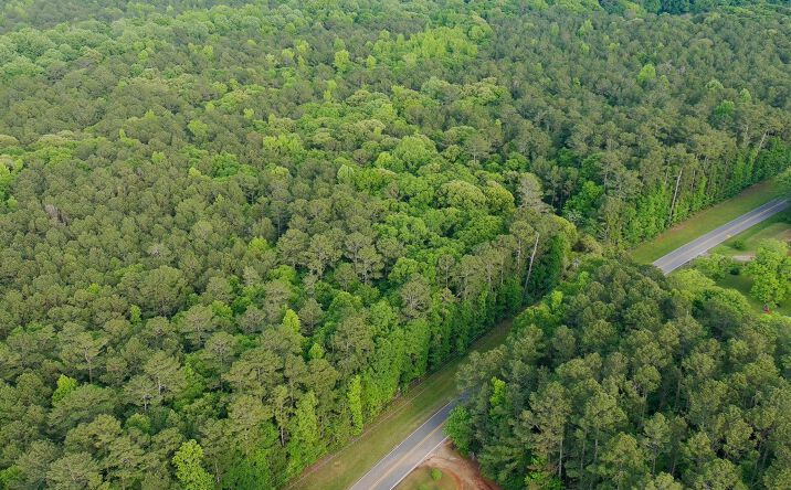 Pictures of Land property located at Yatesville Road, Barnesville, GA 30204-3770 for sales - image #1