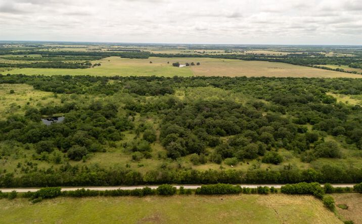 Pictures of Land property located at 1 County Road 159, Riesel, TX 76682 for sales - image #1