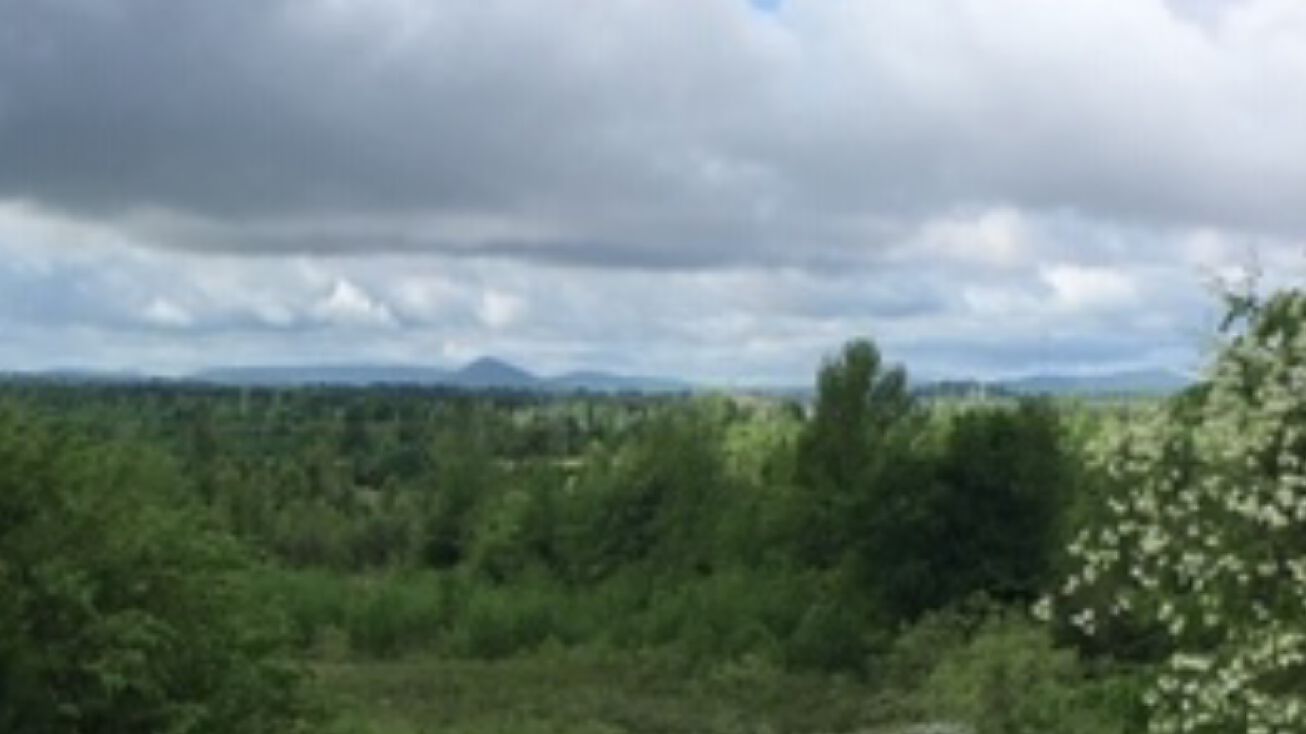 13 Gandy Ln, Mayflower, AR 72106 Land for Sale 13 Gandy Lane