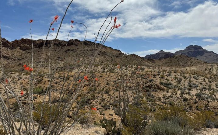 Pictures of Land property located at TR 42 Gate 2 Road, Terlingua, TX 79852 for sales - image #1