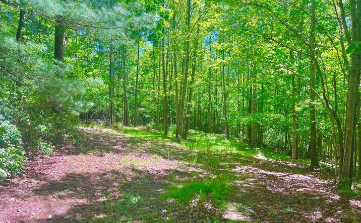 Pictures of Land, Multifamily property located at TBD Landmark Dr, Stuart, VA 24171 for sales - image #1