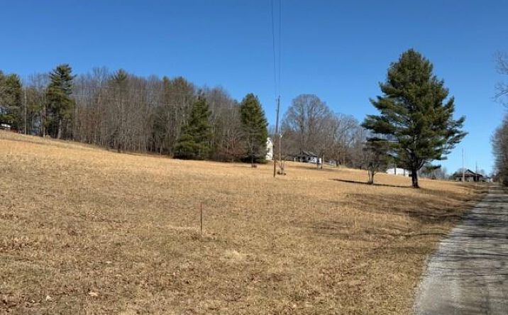 Pictures of Land, Multifamily property located at 976 Walton Furnace Road, Max Meadows, VA 24360 for sales - image #1