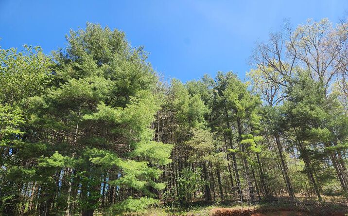 Pictures of Land, Multifamily property located at 46 Silverleaf Road, Hillsville, VA 24343 for sales - image #1