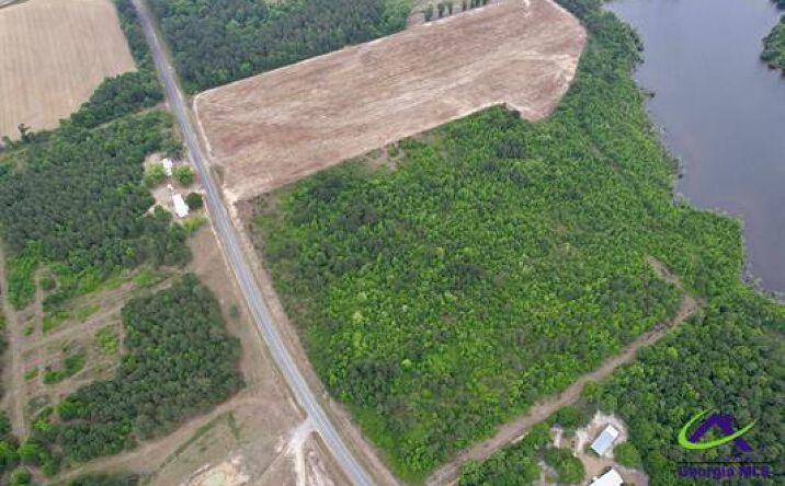Pictures of Land property located at Chester Alamo Highway, Chester, GA 31012 for sales - image #1