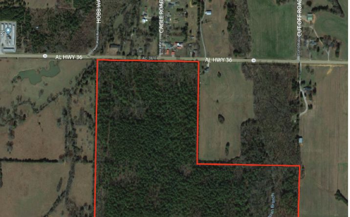 Pictures of Land property located at 87 Acres On Hwy 36, Hartselle, AL 35640 for comps - image #1