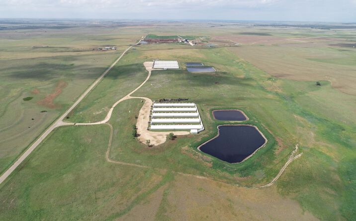 Pictures of Land property located at County Road 19, Follett, TX 79034 for sales - image #1
