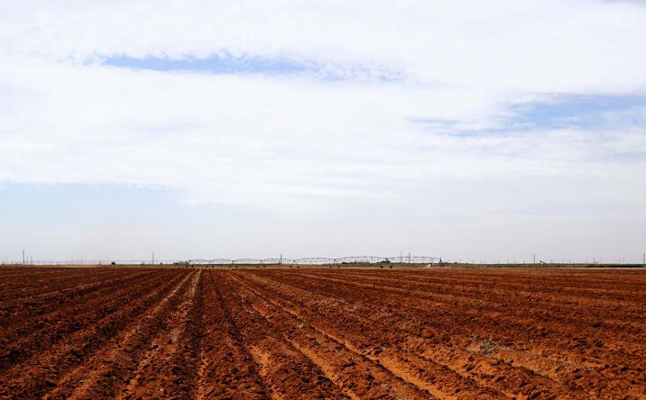 Pictures of Land property located at 2397+HR, Allred, TX 79323 for sales - image #1