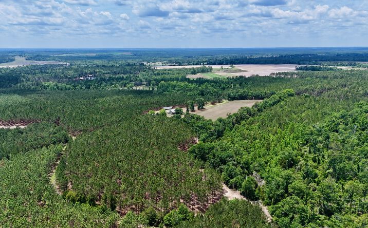 Pictures of Land property located at Neily Wagon Road, Mc Rae Helena, GA 31055 for sales - image #1