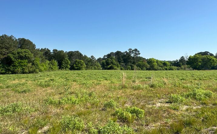 Pictures of Land property located at Tract 2 120 Popham Road, Taylorsville, GA 30178 for sales - image #1