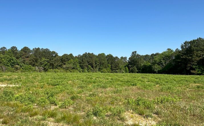 Pictures of Land property located at Tract 4 120 Popham Road, Taylorsville, GA 30178 for sales - image #1