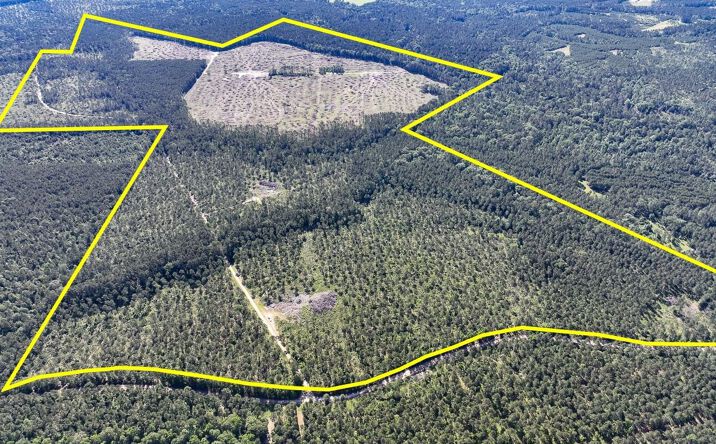 Pictures of Land property located at Fountain Creek Road, Groveton, TX 75845 for sales - image #1