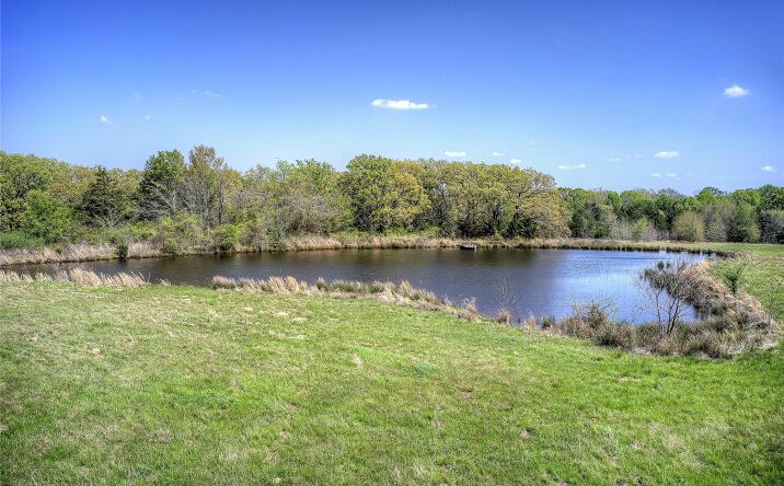 Pictures of Land property located at 600 Vz County Road 3528, Wills Point, TX 75169 for sales - image #1