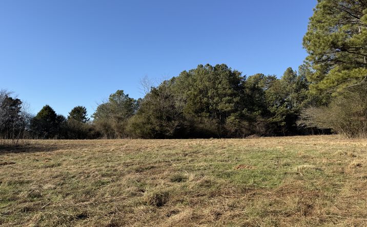 Pictures of Retail, Land property located at Liberty Church Road, Ranger, GA 30734 for sales - image #1