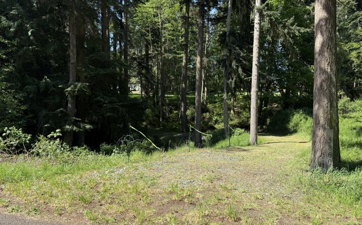 Pictures of Land property located at 5860 Fish Road, Freeland, WA 98249 for sales - image #1