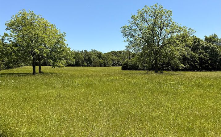 Pictures of Land property located at 36148 E 670 Drive, Wagoner, OK 74467 for sales - image #1