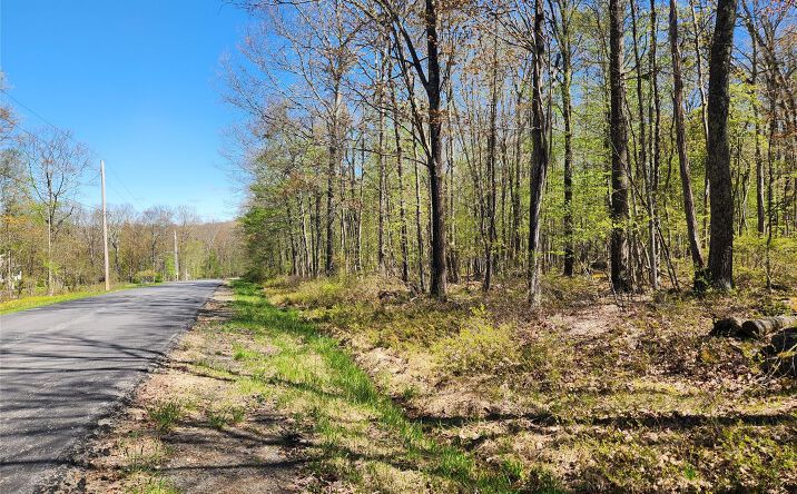 Pictures of Land property located at Lot 34 Lenni Lenape Road, Cochecton, NY 12726 for sales - image #1