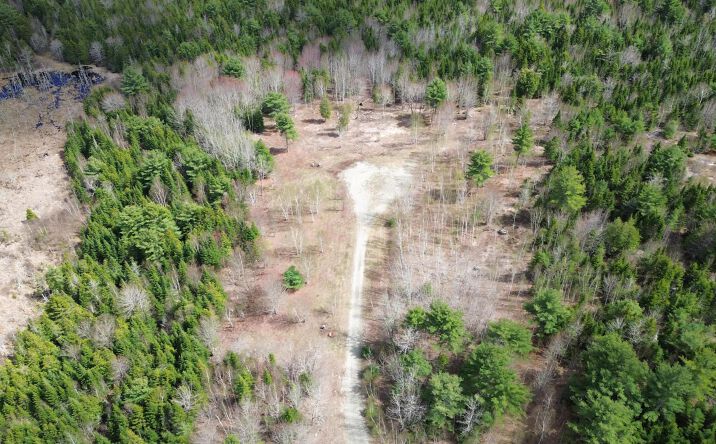 Pictures of Land property located at Lot 16 Bailey Mountain Road, Franklin, ME 04634 for sales - image #1