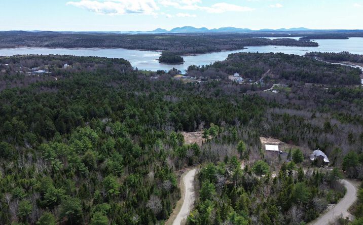Pictures of Land property located at Lot 11 Bailey Mountain Road, Franklin, ME 04634 for sales - image #1