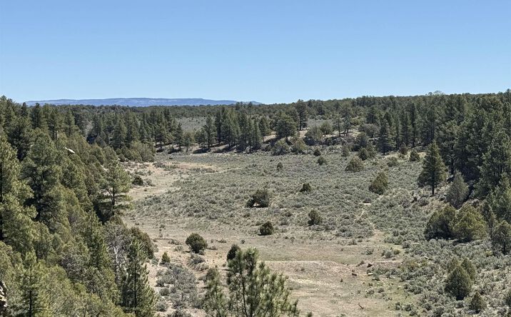 Pictures of Land, Special Purpose property located at TBD Foredst Service Road 144 Forest, Cebolla, NM 87518 for sales - image #1